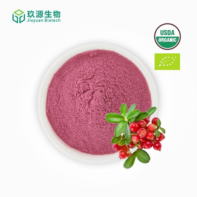 Organic Bilberry Powder manufacturers